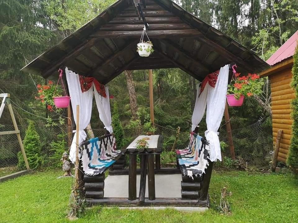 Pensiunea Gianina Arieşeni Zewnętrze zdjęcie